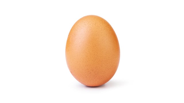 oeuf
