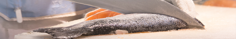 Poisson
